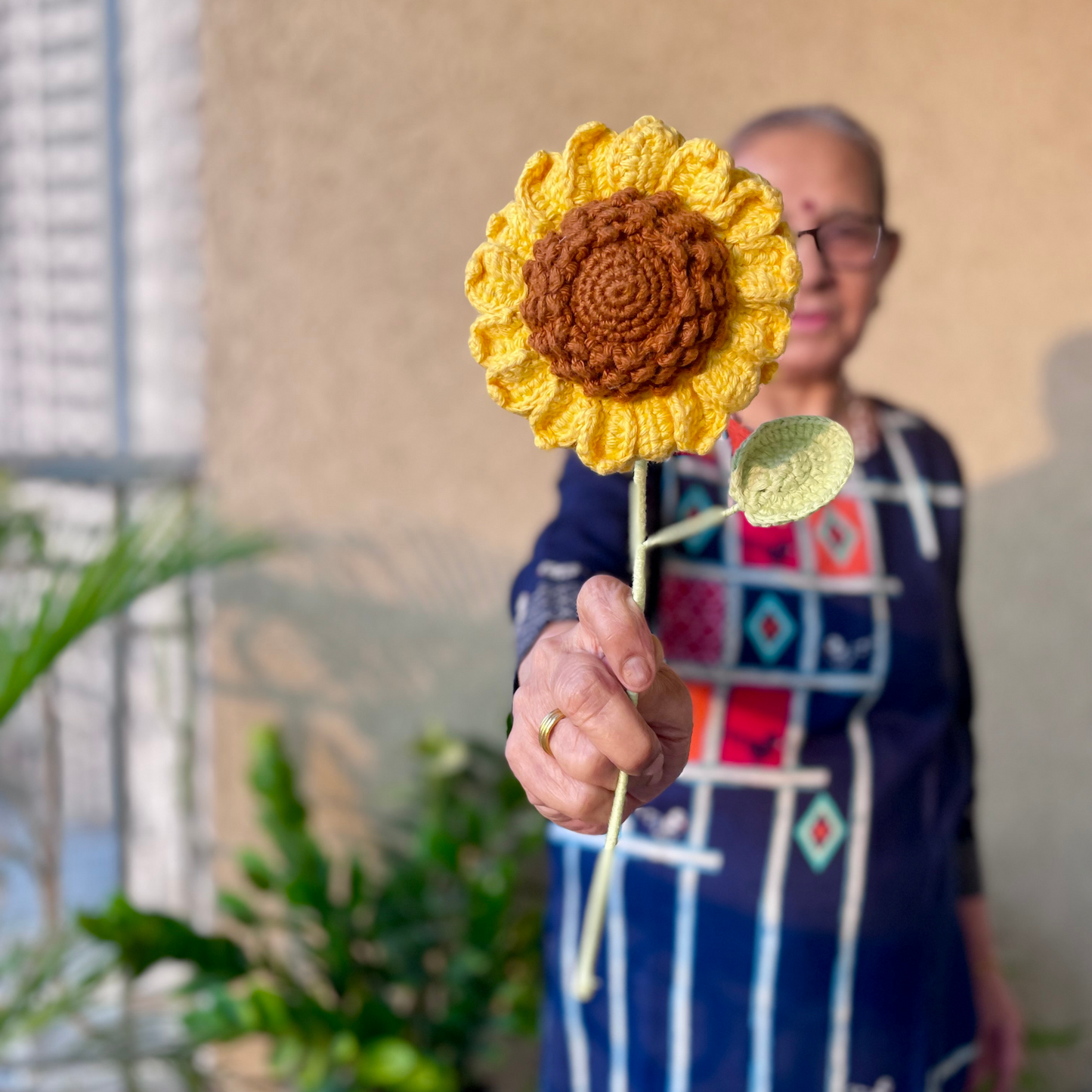 Flower : Sunflower