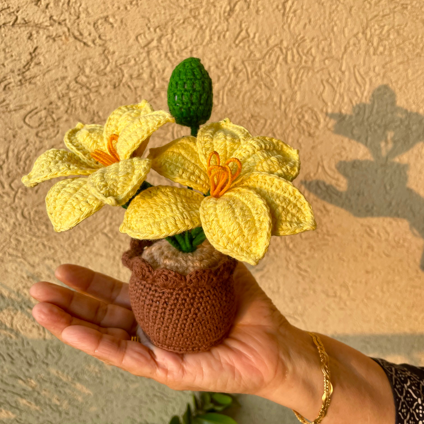 Flower: Lilly Pot