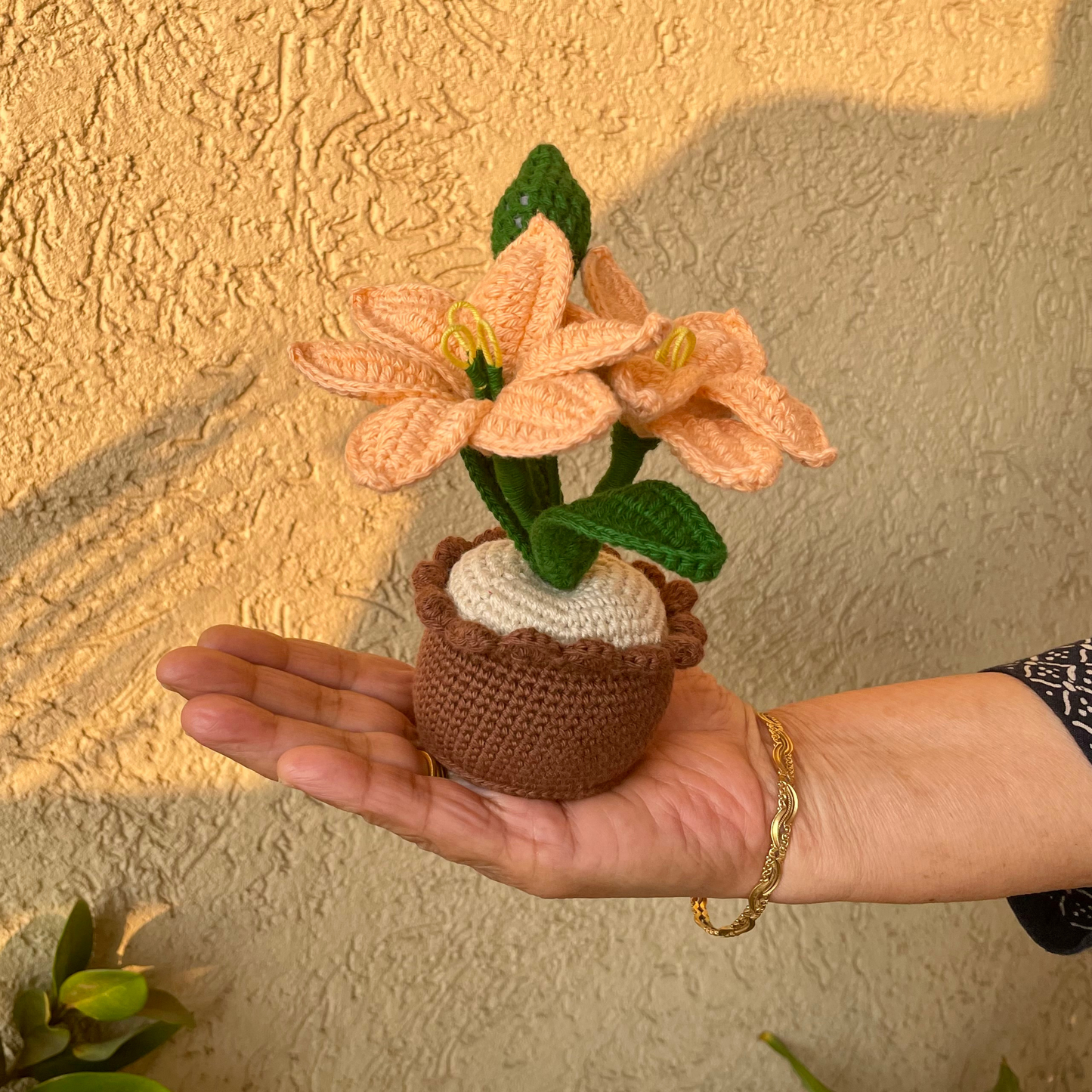 Flower: Lilly Pot