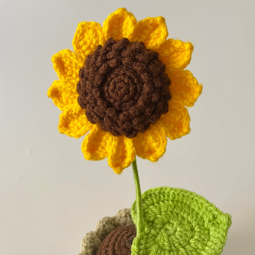 Flower: Sunflower Pot