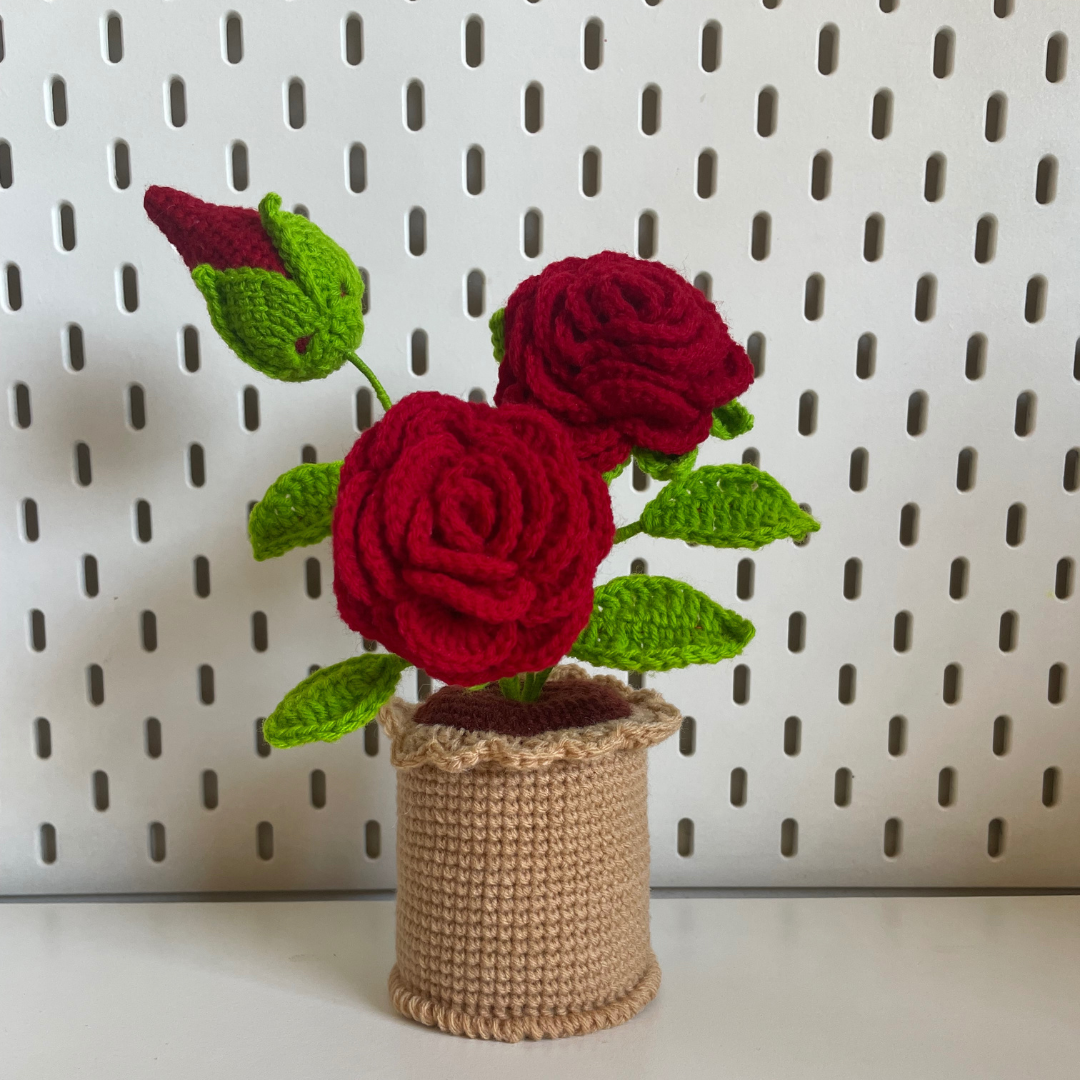 Flower: Potted Rose