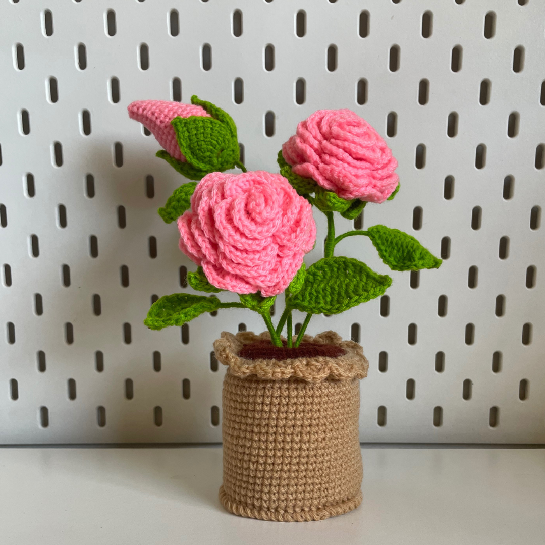 Flower: Potted Rose