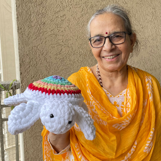 Toy: Rainbow Turtle